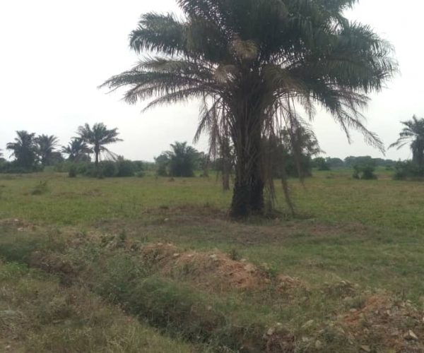 20 acres of land at isheri north estate
