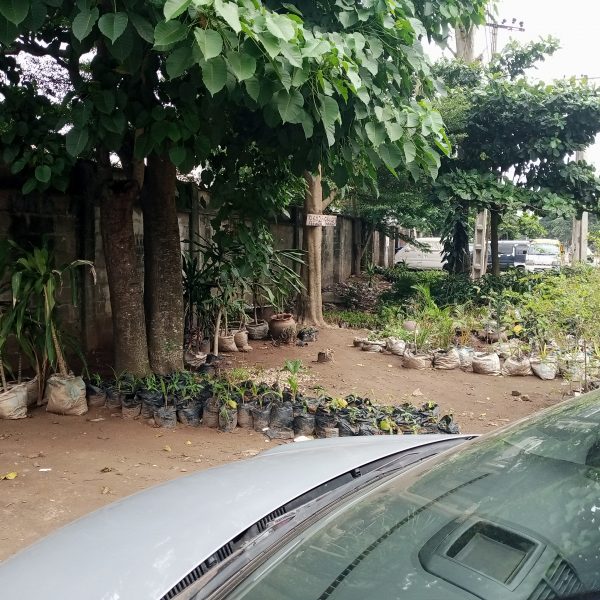 2,000sqm of land at Ikeja GRA